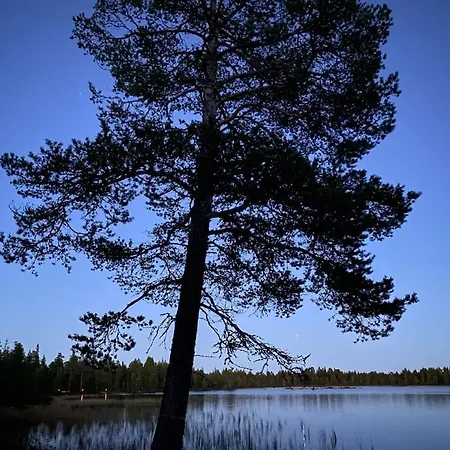 Kaltioranta Inari 3* Partakko